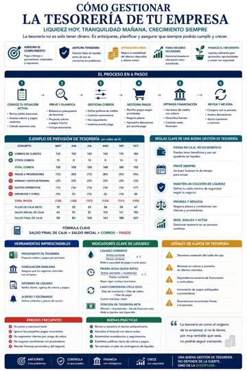 Infografía sobre Cómo Gestionar la Tesorería